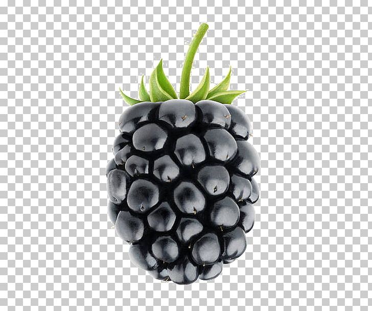 White Blackberry Fruit PNG, Clipart, Background, Berries, Berry, Blackberry, Blackberry Fruit Free PNG Download
