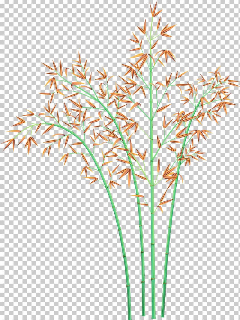 Grass Plant Flower Grass Family Plant Stem PNG, Clipart, Aquarium Decor, Bamboo, Cut Flowers, Elymus Repens, Flower Free PNG Download