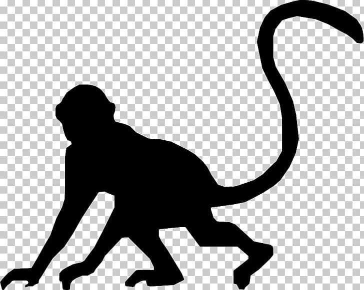 Cat Silhouette Monkey PNG, Clipart, Black, Black And White, Carnivoran, Cat, Cat Like Mammal Free PNG Download