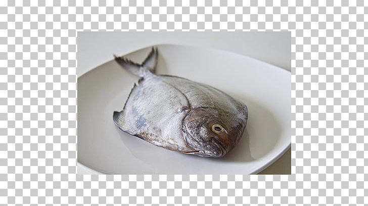 Fried Fish Black Pomfret Food PNG, Clipart, Animals, Black Pomfret, Carangidae, Catla Catla, Chicken As Food Free PNG Download