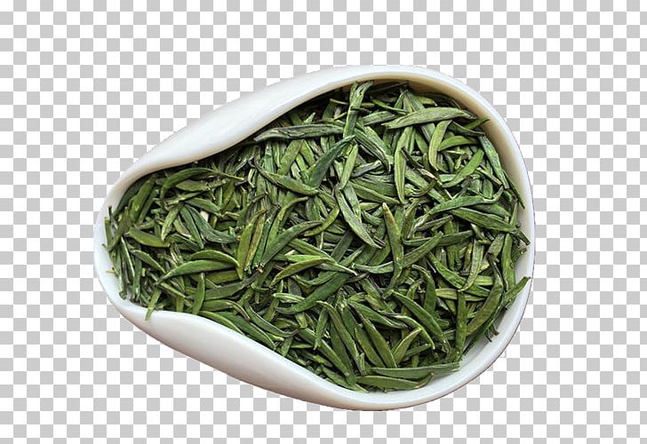 Green Tea Xinyang Maojian Tea Iced Tea PNG, Clipart, Alpine, Alpine Maojian Tea, Background Green, Biluochun, Camellia Sinensis Free PNG Download