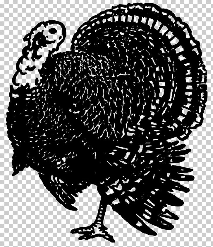 Rooster Chicken PNG, Clipart, Beak, Bird, Black And White, Chicken, Chicken As Food Free PNG Download