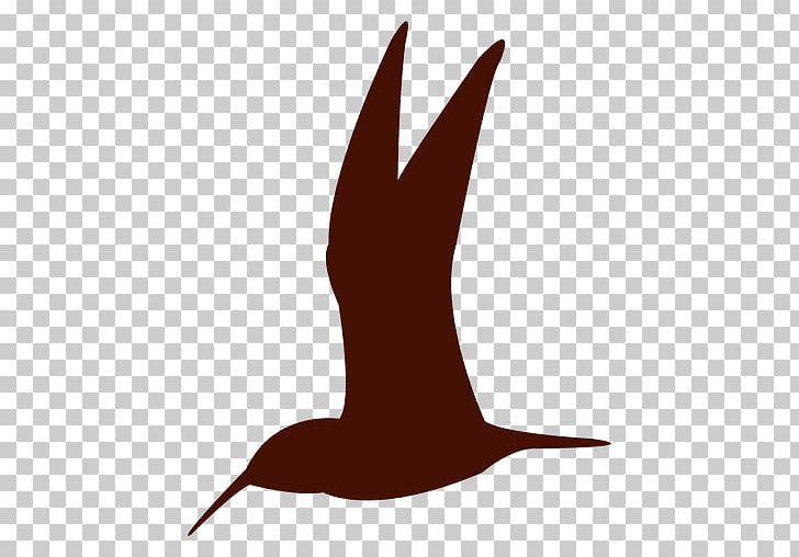Silhouette Hummingbird PNG, Clipart, Animals, Beak, Bird, Colibri, Digital Media Free PNG Download