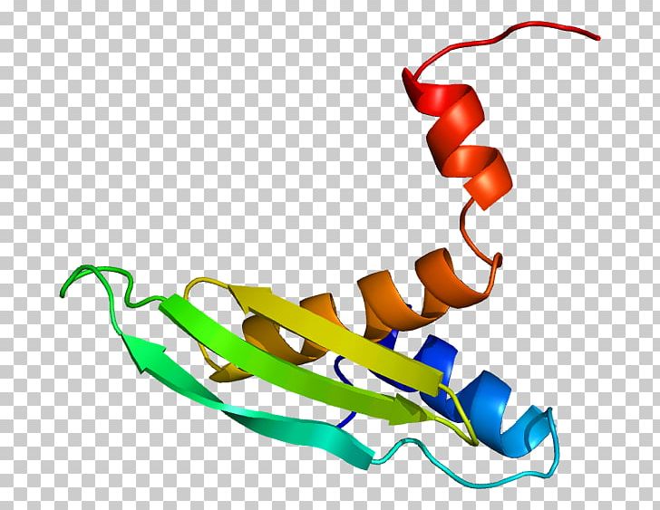 STAU2 Gene RNA-binding Protein Staufen PNG, Clipart, Artwork, Doublestranded Rna Binding, Doublestranded Rna Viruses, Gene, Homo Free PNG Download