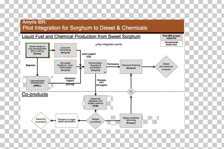 Sweet Sorghum Diesel Fuel Biorefinery PNG, Clipart, Angle, Biodiesel, Biofuel, Biorefinery, Brand Free PNG Download