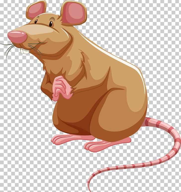 Brown Rat Laboratory Rat PNG, Clipart, Animals, Brown Rat, Carnivoran, Fancy Rat, Laboratory Rat Free PNG Download