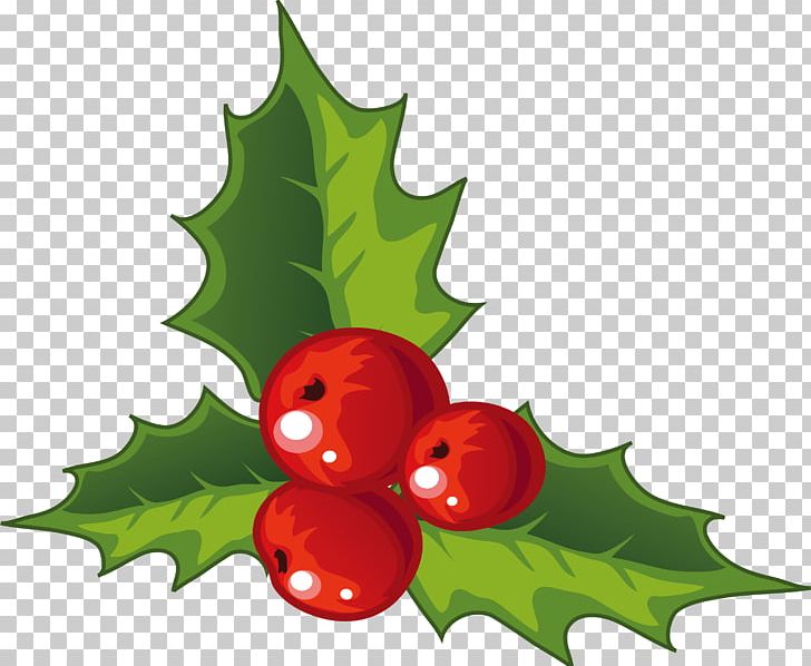 Holly Christmas Decoration PNG, Clipart, Aquifoliales, Atmosphere, Christmas Decorations, Christmas Frame, Christmas Lights Free PNG Download