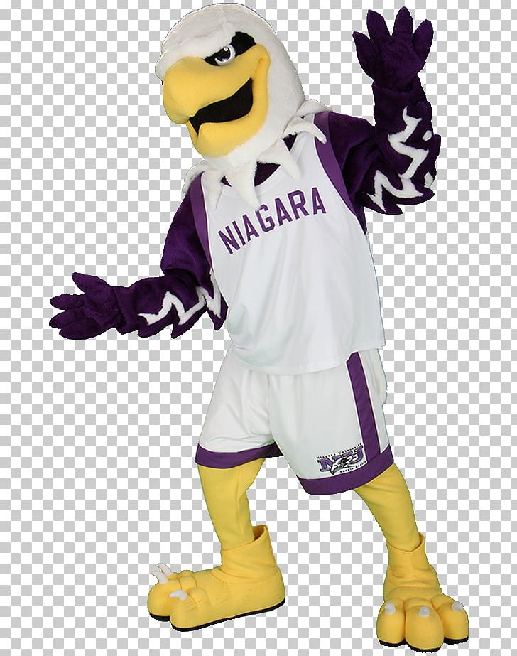 Niagara University Niagara Purple Eagles Women's Basketball Mascot Monte Costume PNG, Clipart, Beak, Bird, Book, Clothing, Costume Free PNG Download