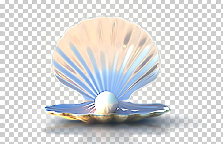Seashell Computer File PNG, Clipart, Adobe Illustrator, Animals, Cobalt Blue, Color, Decorative Fan Free PNG Download