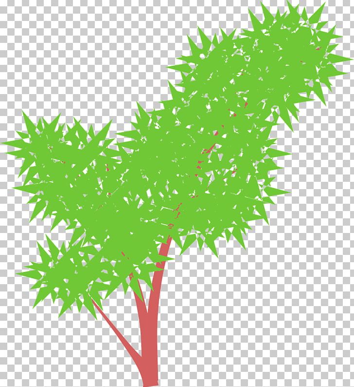Tree Shrub Green PNG, Clipart, Branch, Bushes, Clip Art, Color, Drawing Free PNG Download