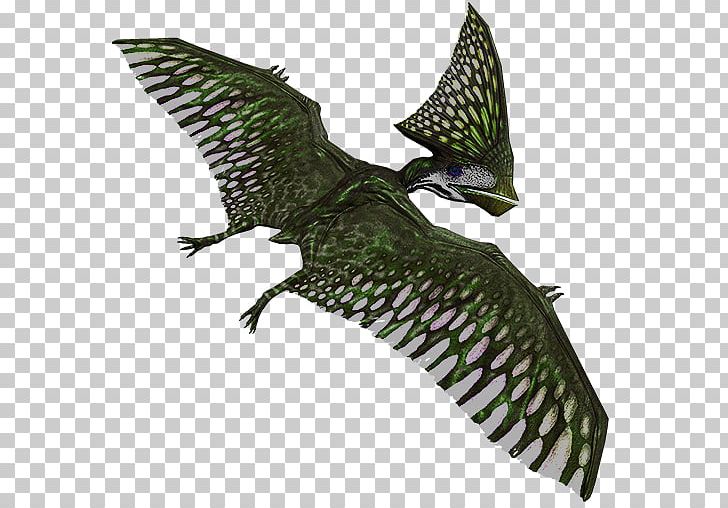 Tupandactylus Primal Carnage: Extinction Pterosaurs Dinosaur PNG, Clipart, Carnage, Comb, Dinosaur, Fantasy, Fictional Characters Free PNG Download
