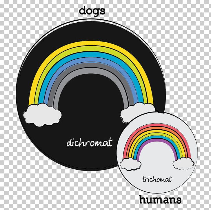 Dog Yellow Dichromacy Red Color Vision PNG, Clipart, Blue, Bluegray, Bluegreen, Circle, Color Free PNG Download