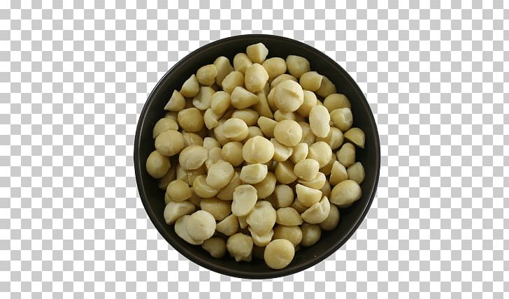 Macadamia Vegetarian Cuisine Chickpea Recipe Food PNG, Clipart, Bean, Chickpea, Dish, Dish Network, Food Free PNG Download