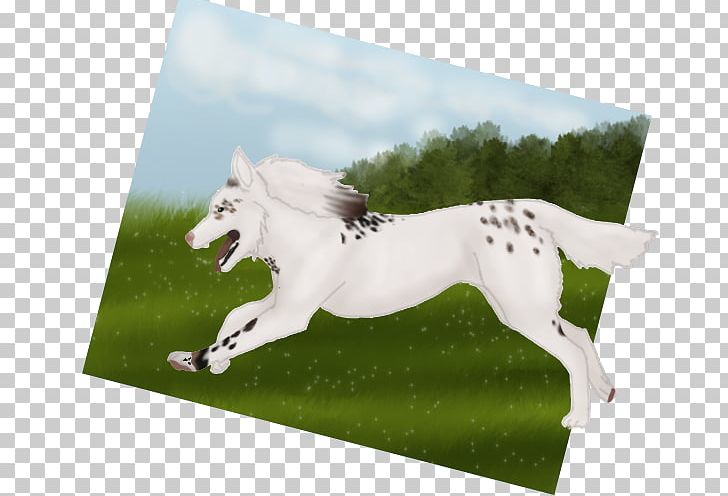 Stallion Mustang Mare Horse Tack Freikörperkultur PNG, Clipart, Grass, Horse, Horse Like Mammal, Horse Tack, Liverpool Fc Free PNG Download