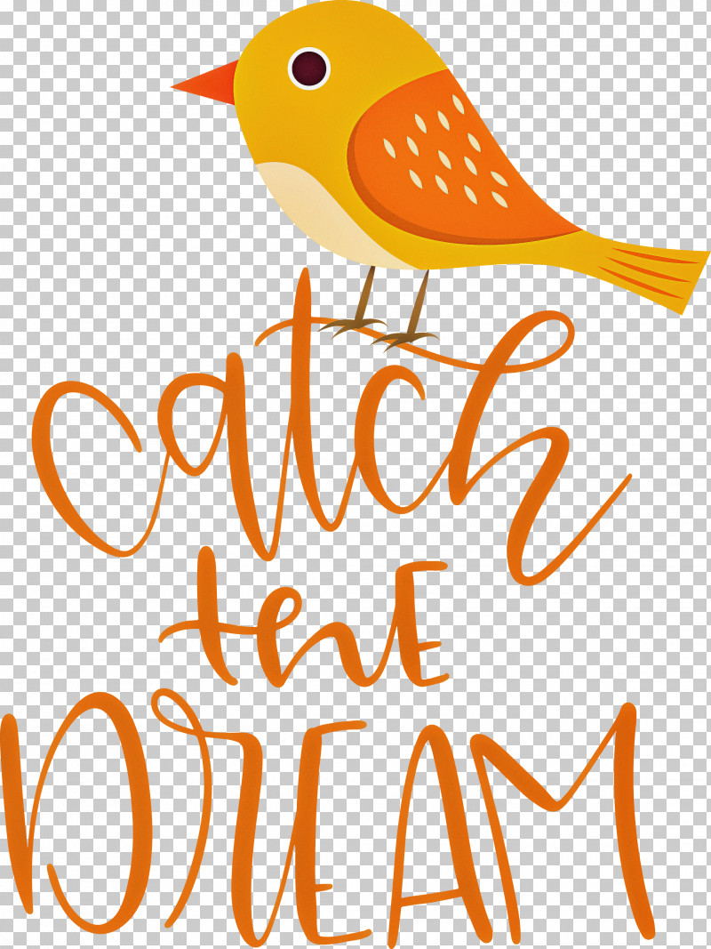 Catch The Dream Dream PNG, Clipart, Beak, Biology, Birds, Dream, Geometry Free PNG Download