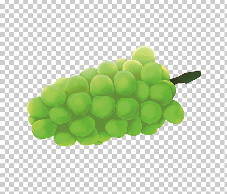 Cartoon Drawing PNG, Clipart, 3d Computer Graphics, 3d Creative Fruit, 3d Vector, Art, Auglis Free PNG Download