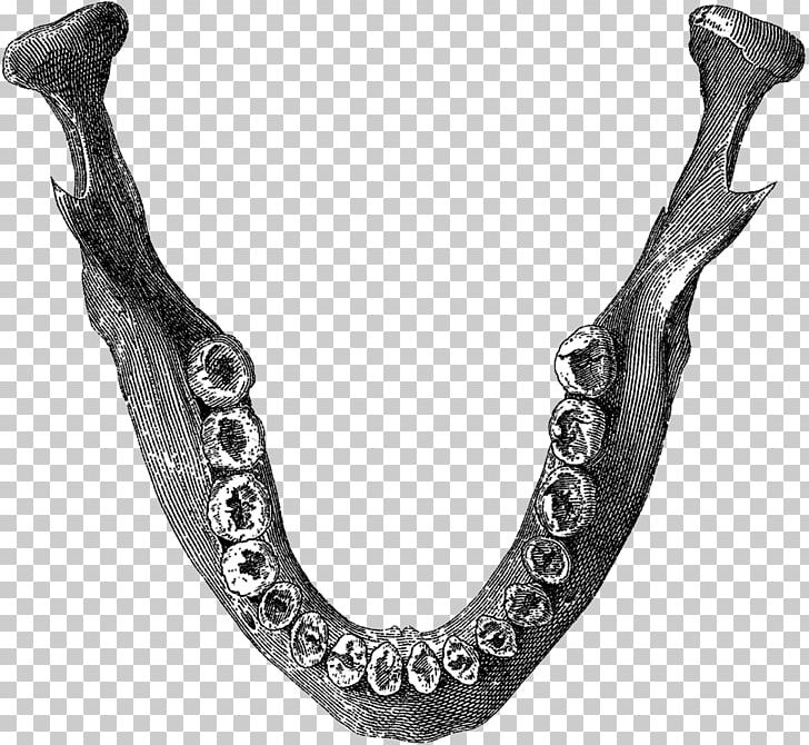 Jaw Black Body Jewellery Human Body PNG, Clipart, Black, Black And White, Body Jewellery, Body Jewelry, Chain Free PNG Download