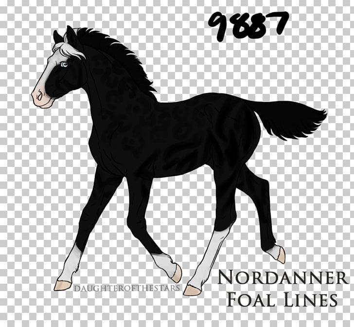 Pony Foal Stallion Mustang Puppy PNG, Clipart, Bridle, Clouded Leopard, Colt, Deviantart, Drawing Free PNG Download
