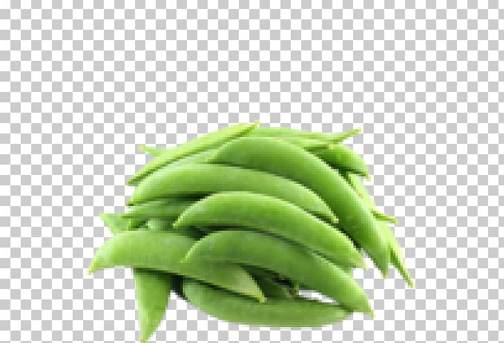 Snap Pea Green Bean Common Bean Vegetable PNG, Clipart, Bean, Botanical Illustration, Common Bean, Edamame, Food Free PNG Download