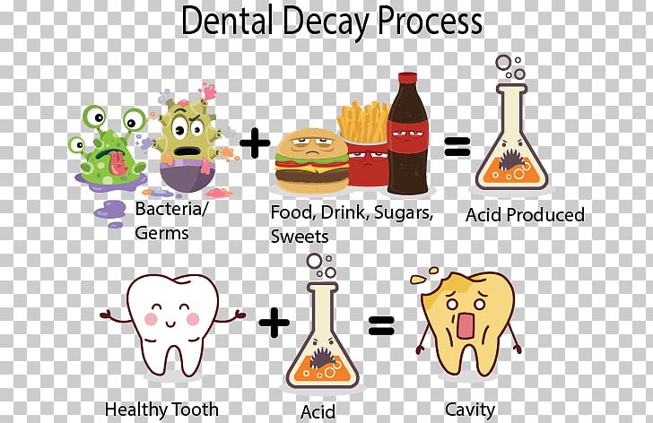 Tooth Decay Human Tooth Dentistry Tooth Enamel PNG, Clipart, Acid, Area, Bacteria, Cartoon, Communication Free PNG Download