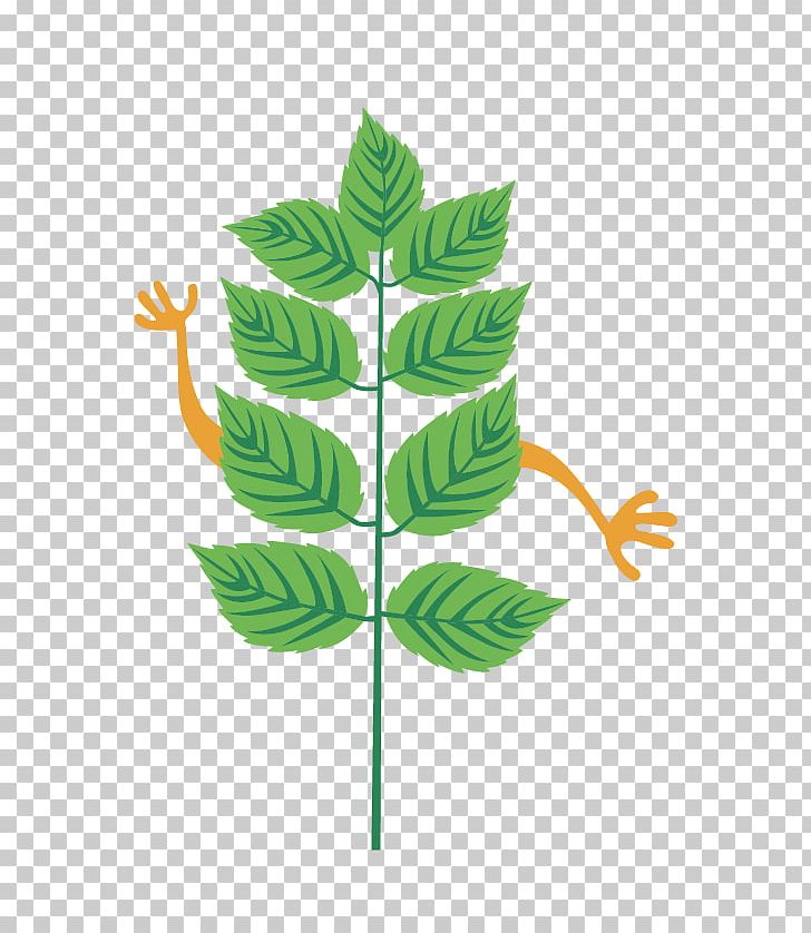 Leaf Plant Stem Line Tree PNG, Clipart, Grass, Leaf, Line, Plant, Plant Stem Free PNG Download