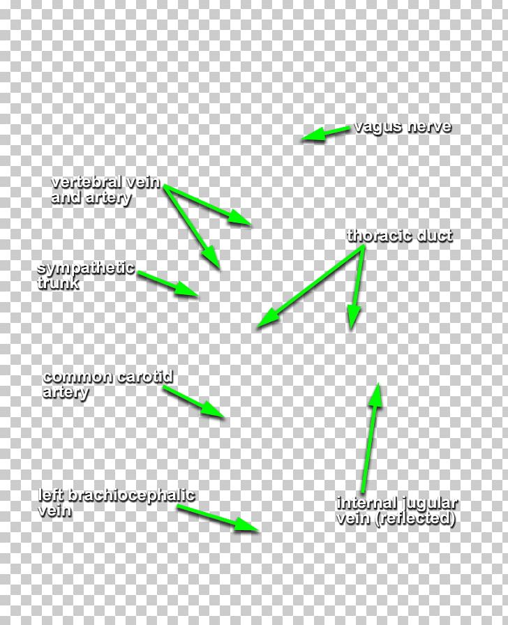 Diagram Line Angle PNG, Clipart, Angle, Area, Diagram, Grass, Green Free PNG Download