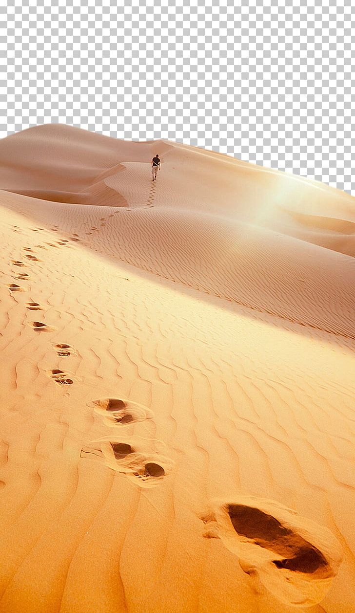Liwa Oasis Great Sand Sea Footprint Desert PNG, Clipart, Aeolian Landform, Arizona Desert, Beach, Beach Footprints, Computer Wallpaper Free PNG Download