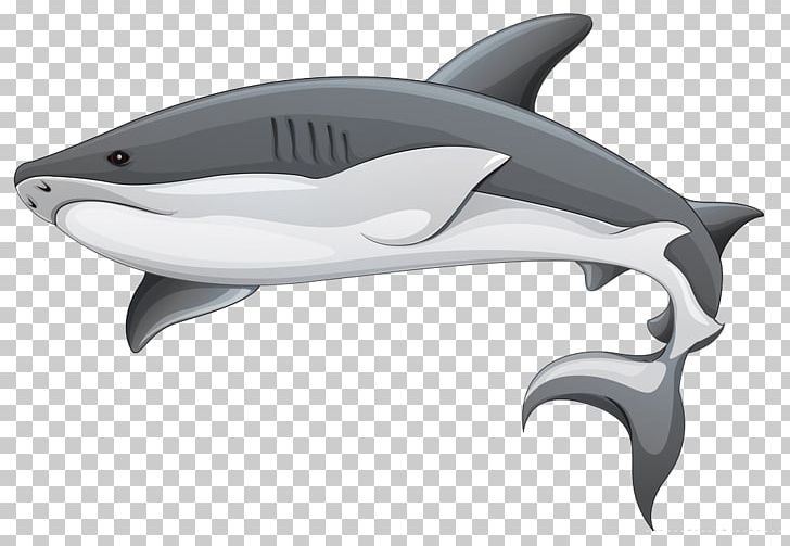 Shark Fin Soup Shark Finning PNG, Clipart, Animal, Animals, Automotive Design, Basking Shark, Big Shark Free PNG Download