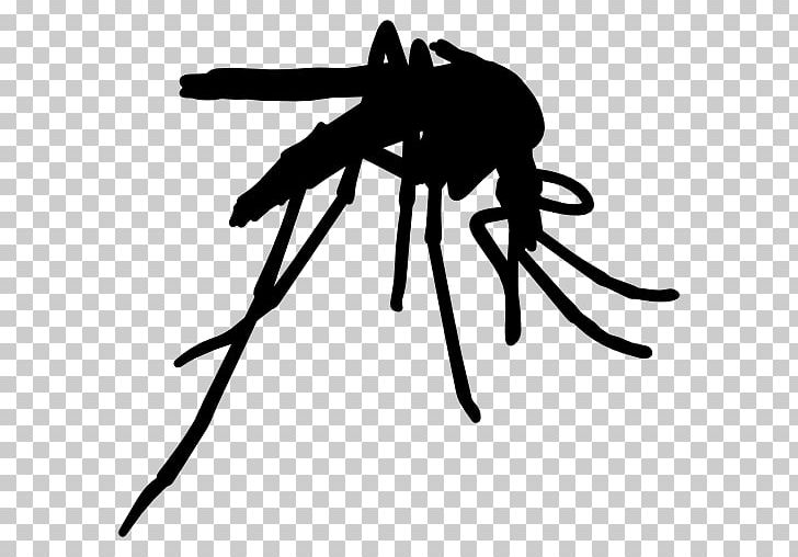 Yellow Fever Mosquito Insect Mosquito Control PNG, Clipart, Animal, Arthropod, Black, Black And White, Chikungunya Virus Infection Free PNG Download