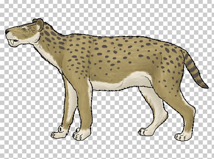 Cheetah Lion Leopard Lokotunjailurus Carnivora PNG, Clipart, Animal, Animal Figure, Animals, Art, Big Cats Free PNG Download