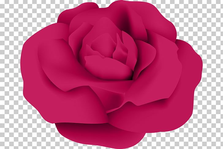 Garden Roses Cabbage Rose Flower PNG, Clipart, Blossom, Cabbage Rose, Clip, Clip Art, Flower Free PNG Download