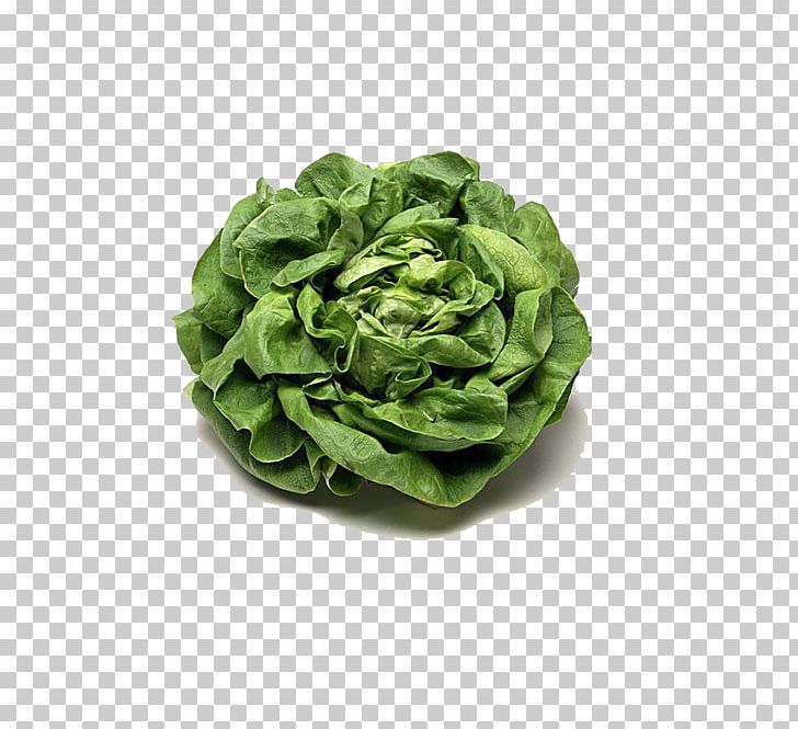 Kale PNG, Clipart, Cabbage, Cabbage Leaves, Cabbage Roses, Cartoon Cabbage, Chinese Cabbage Free PNG Download