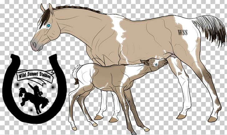 Mustang Foal Stallion Colt Mare PNG, Clipart, Bridle, Colt, Fictional Character, Foal, Halter Free PNG Download