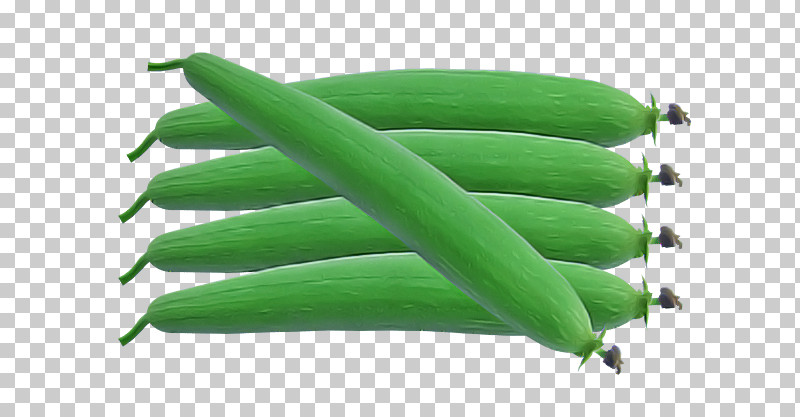 Vegetable Green Beans Commodity Green PNG, Clipart, Commodity, Green, Green Beans, Vegetable Free PNG Download