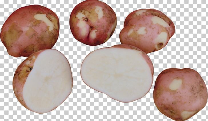 French Fries Root Vegetables Sweet Potato Food PNG, Clipart, Depositfiles, Download, Food, Food Drinks, French Fries Free PNG Download