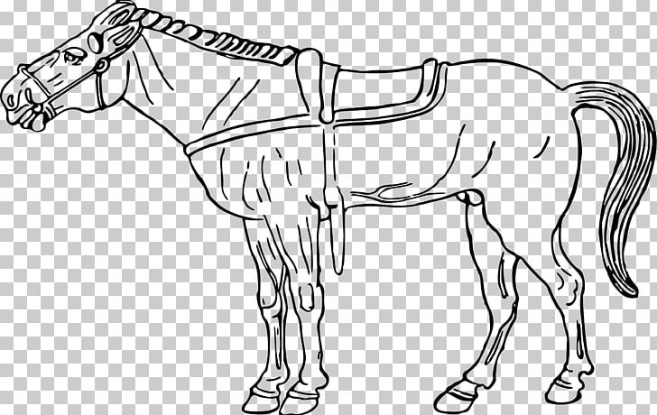 Horse Pony Drawing PNG, Clipart, Angle, Animal Figure, Animals, Arm, Black And White Free PNG Download