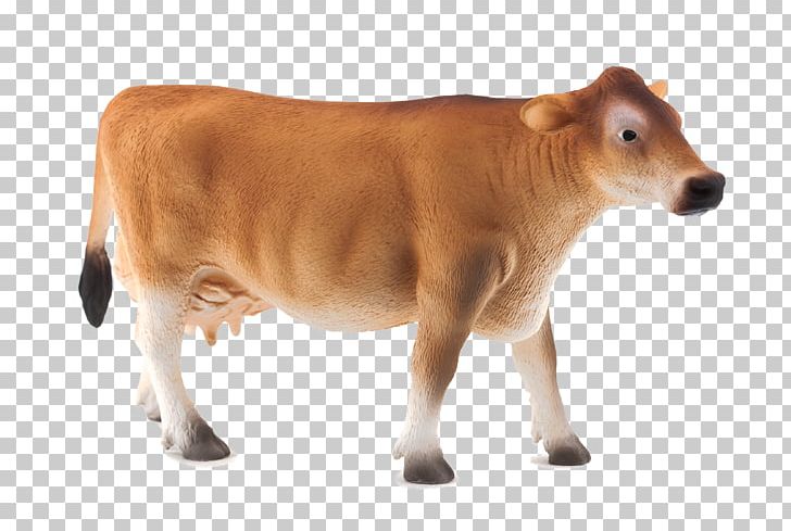 Jersey Cattle Beef Cattle Holstein Friesian Cattle Highland Cattle Farm PNG, Clipart, Animals, Beef Cattle, Breed, Calf, Cattle Free PNG Download