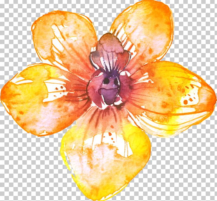 Flower Drawing PNG, Clipart, Art, Creative, Creative Flower, Creative Flower Photos, Cut Flowers Free PNG Download