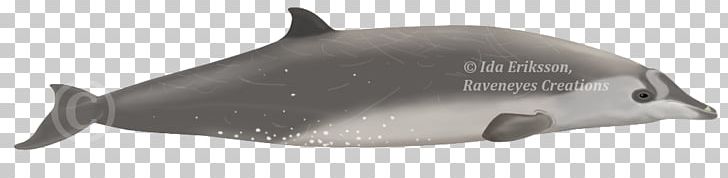 Cetacea Porpoise Dolphin Whale Fish PNG, Clipart, Animals, Cetacea, Dolphin, Fish, Hardware Free PNG Download