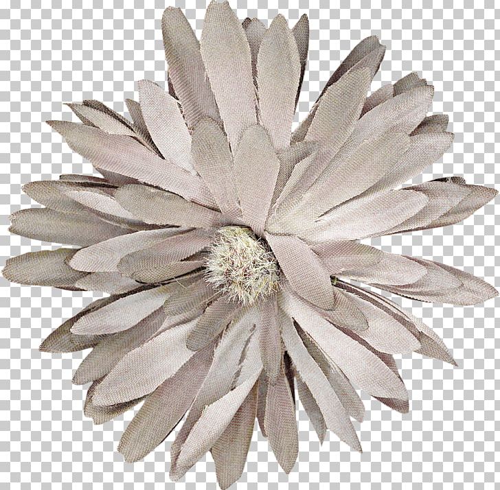 Cut Flowers Petal PNG, Clipart, Cut Flowers, Flower, Nature, Net, Petal Free PNG Download
