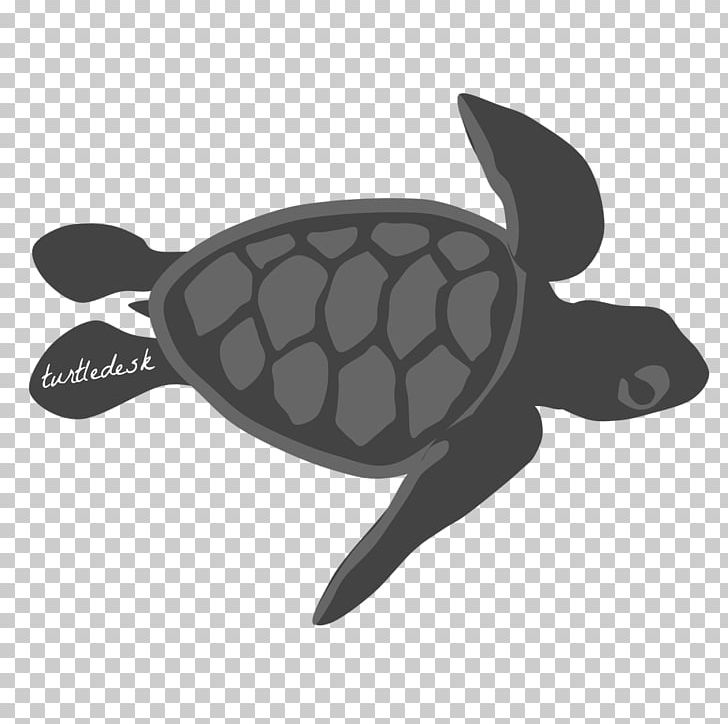 Graphic Design Art Turtle PNG, Clipart, 3 D Design, Animals, Art, Artist, Composition Free PNG Download