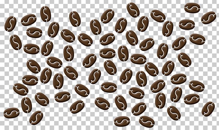 The Coffee Bean & Tea Leaf Cafe Dollar Sign PNG, Clipart, Bean, Black Beans, Cafe, Coffee, Coffee Bean Free PNG Download