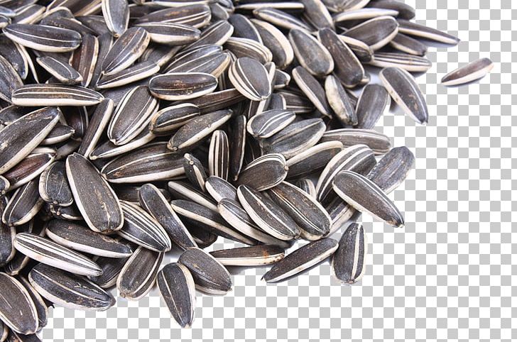 Nut Common Sunflower Sunflower Seed Snack PNG, Clipart, Common Sunflower, Flowers, Food, Ingredient, Kuaci Free PNG Download
