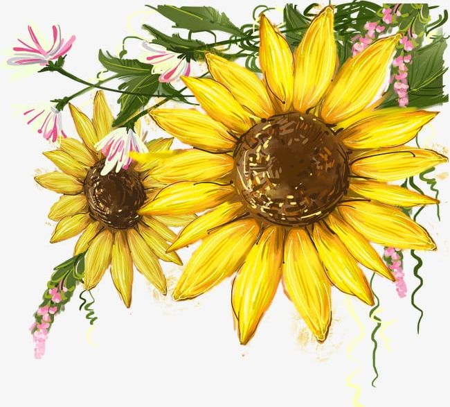 Sunflower Mural PNG, Clipart, Flowers, Mural Clipart, Mural Clipart, Sunflower, Sunflower Clipart Free PNG Download