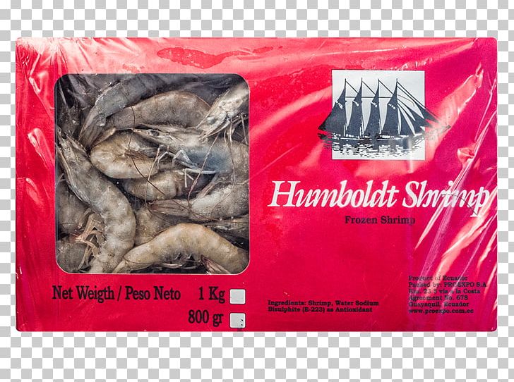 Caridea Whiteleg Shrimp Giant Tiger Prawn Seafood PNG, Clipart, Animals, Brand, Caridea, Ecuador, Fish Free PNG Download