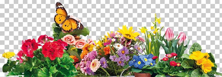 Floral Design Lambavill Sheep Cut Flowers PNG, Clipart, Animals, Annual Plant, Balkon, Cut Flowers, Fertilisers Free PNG Download