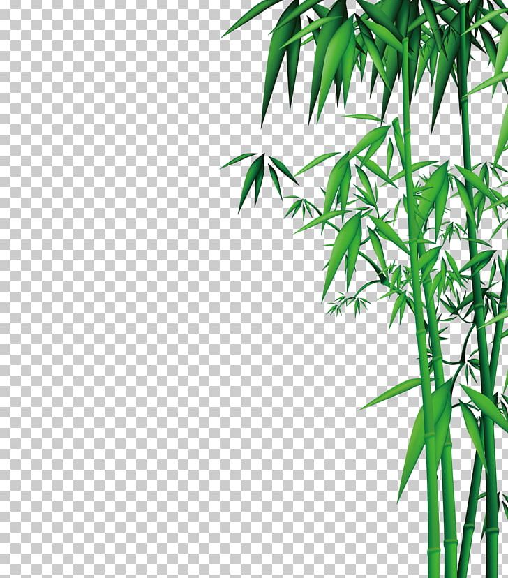 Bamboo PNG, Clipart, Angle, Area, Bambo, Bamboo 19 0 1, Bamboo Border Free PNG Download