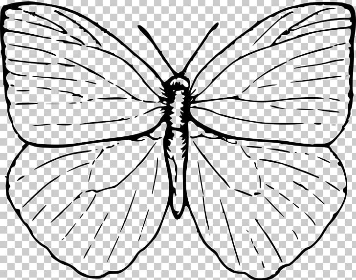 Butterfly Drawing PNG, Clipart, Arthropod, Artwork, Black And White, Brush Footed Butterfly, Butte Free PNG Download