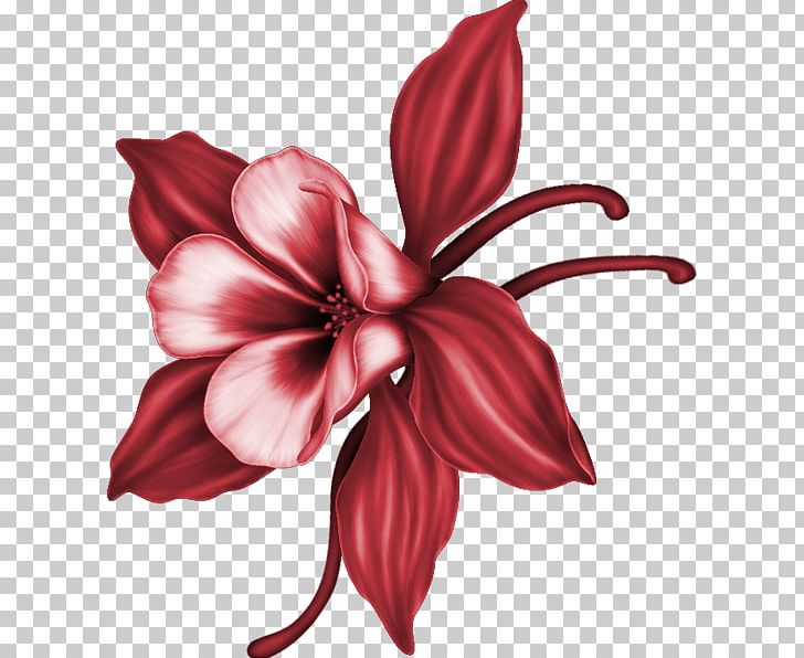 Flower Lily Number PNG, Clipart, Amaryllis Belladonna, Amaryllis Family, Antique, Art, Chart Free PNG Download