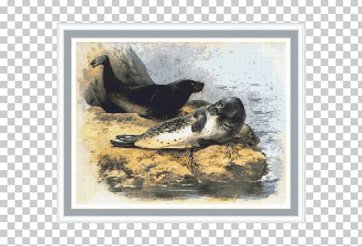 Duck Harbor Seal Painting Fauna Pinniped PNG, Clipart, Animals, Beak, Bird, Duck, Ducks Geese And Swans Free PNG Download